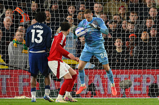 展示了他的 展示了他的